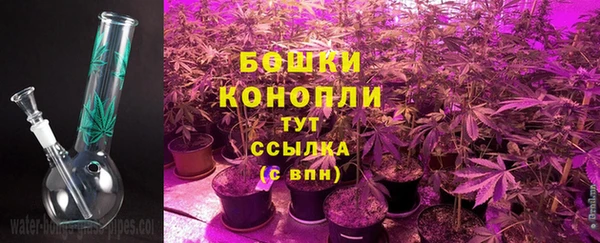 бошки Алексин