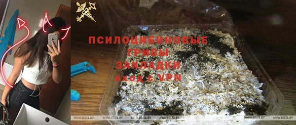 бошки Алексин