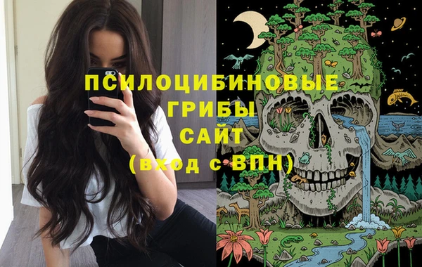 бошки Алексин