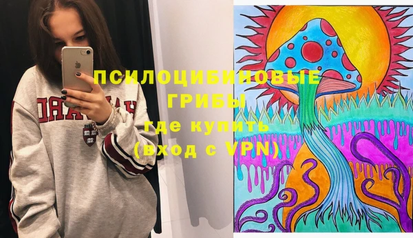 бошки Алексин