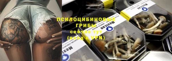 MDMA Premium VHQ Алзамай