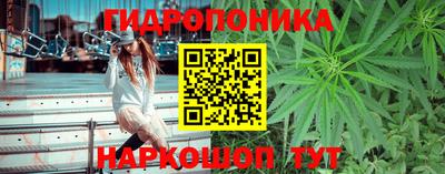 СК Можга
