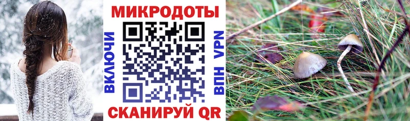Псилоцибиновые грибы мицелий купить наркоту Сосновый Бор
