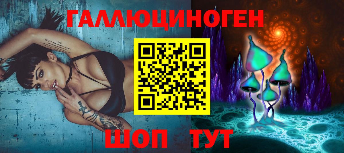 Сосновый Бор  Псилоцибиновые грибы Psilocybine cubensis  Галлюциногенные грибы GOLDEN TEACHER  Вход с VPN 