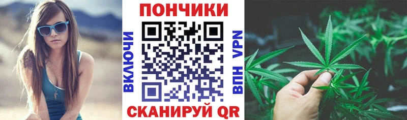 mega сайт  Сосновый Бор  Каннабис сатива 